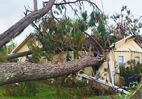 Disaster insurance claims specialist