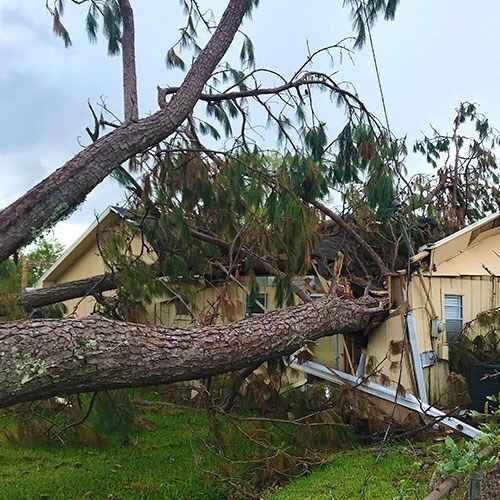 Insurance Claims Specialist Service Photo