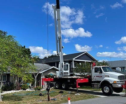 Tree Removal & Stump Grinding Service Photo