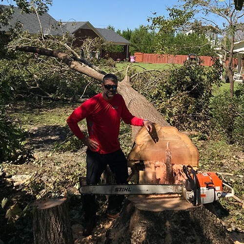 Tree Removal & Stump Grinding Service Photo