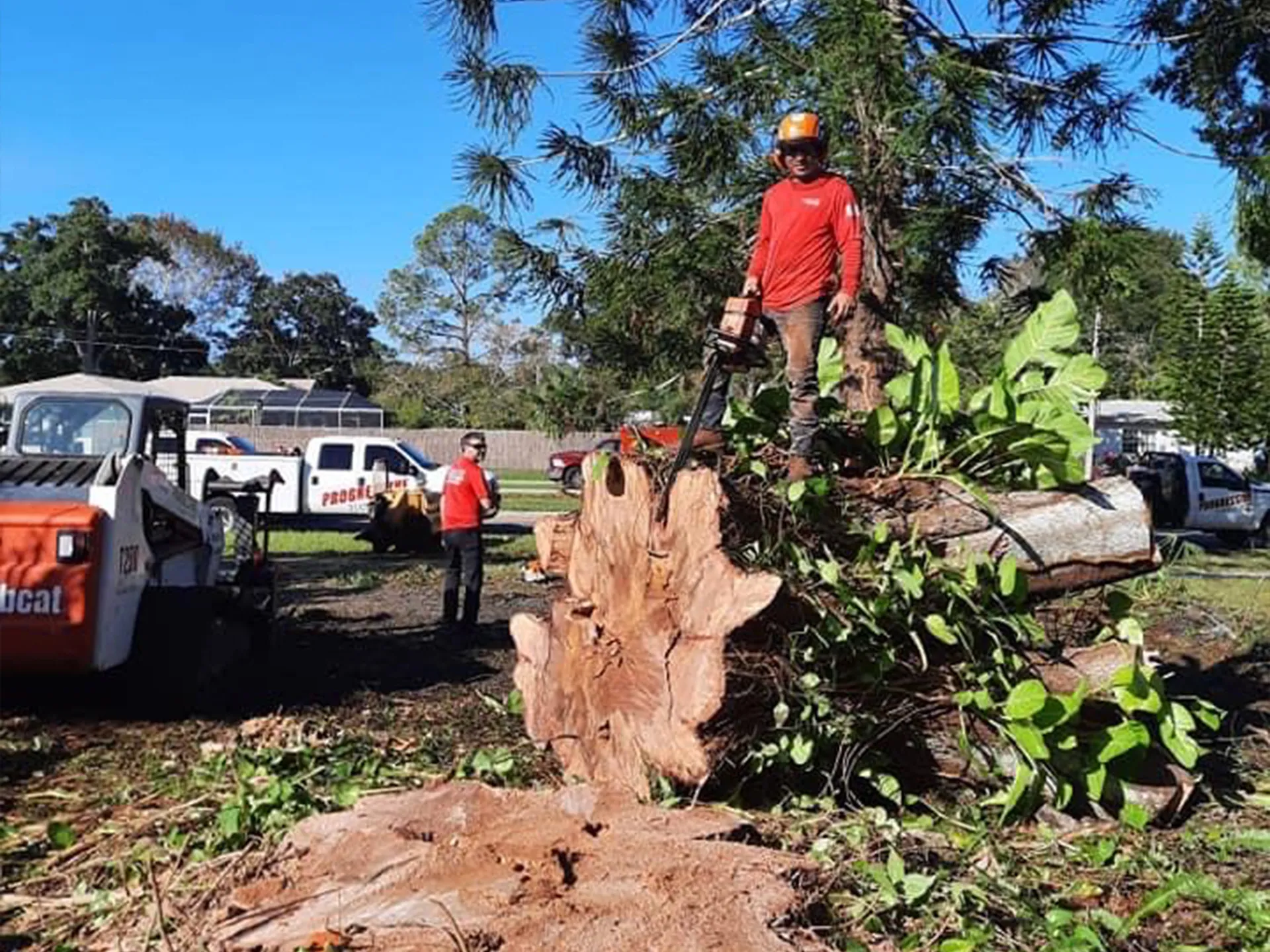 Storm damage cleanup (placeholder)