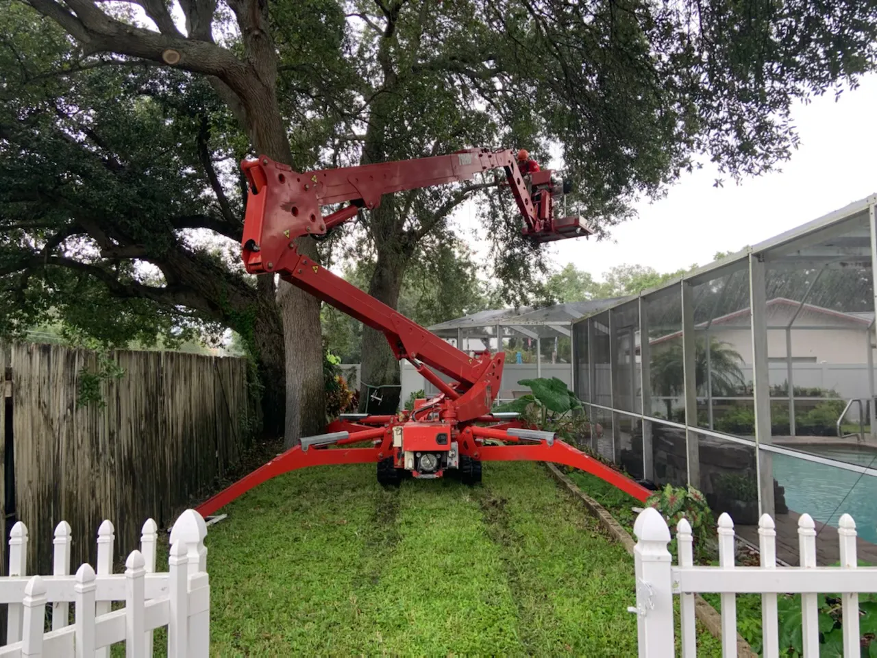Rigging and crane pick removing heavy limbs safely