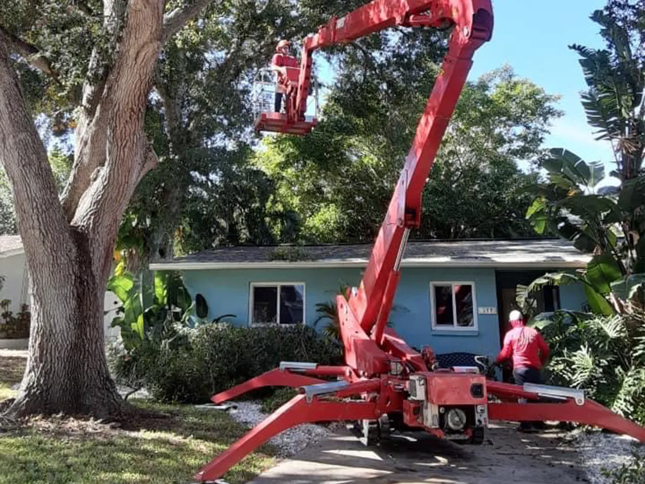 Crane-assisted tree removal crew working in Pinellas County