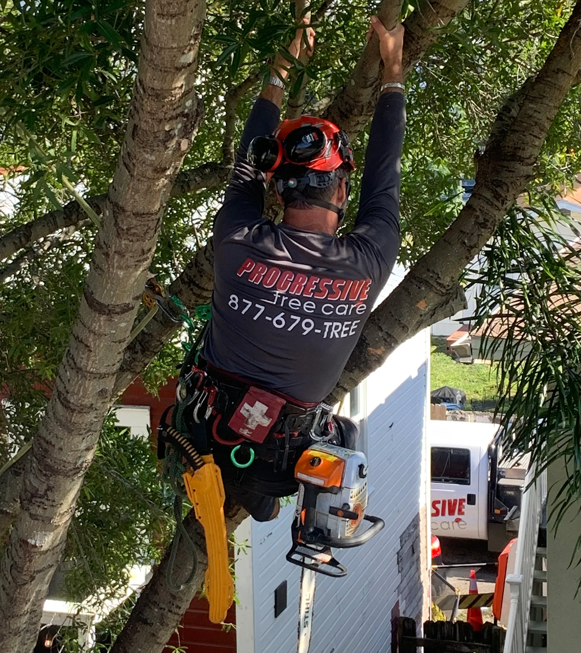 Clearance pruning over roofline and driveway