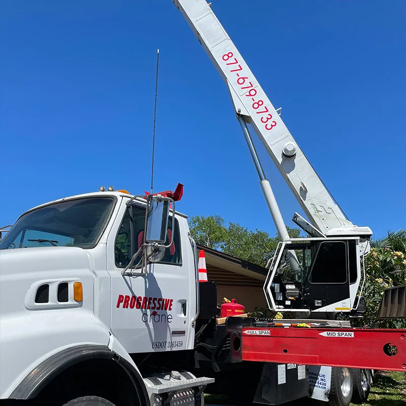 Tree service crew performing tree work in Dunedin, FL