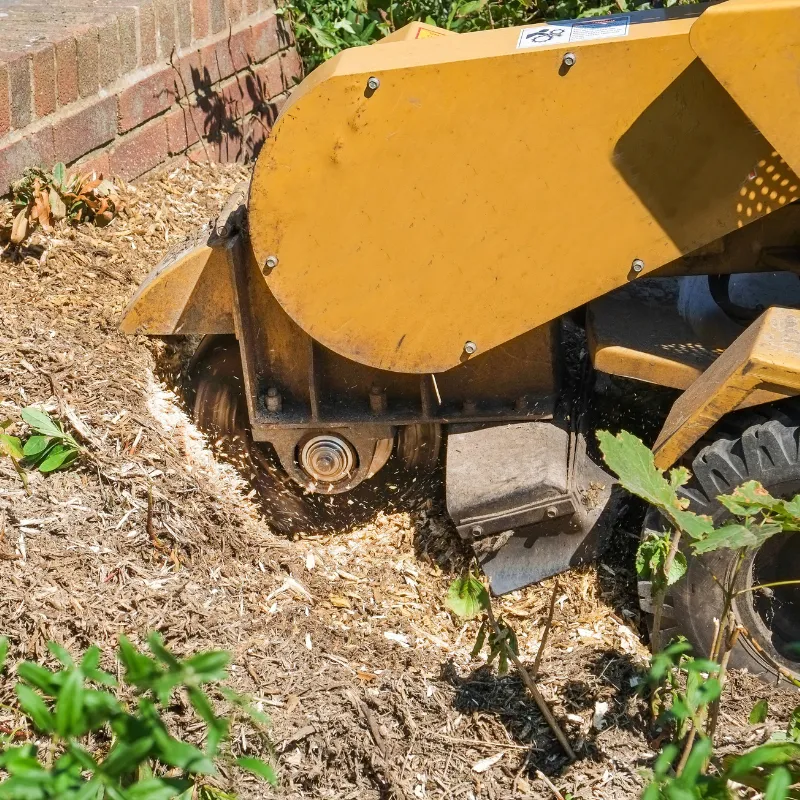 Image: Stump grinding in a tight access yard near fencing